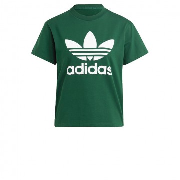 Camiseta ADIDAS TREFOIL TEE IB7424 Verde